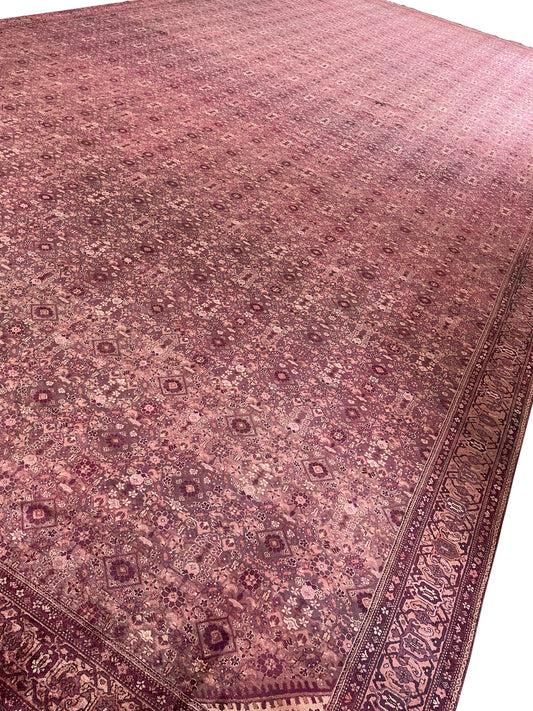 Camel and Brown, Pure Wool Antique Handknotted 16.0x32.0Ft 487x975Cms Area Rug