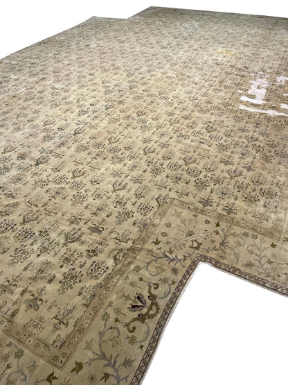Ivory and Brown, Pure Wool Antique Handknotted 10.10x14.10Ft 329x451Cms Area Rug