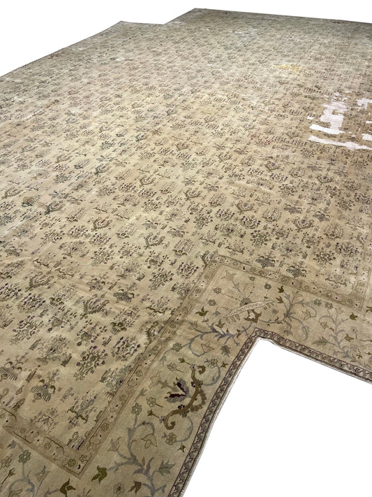 Ivory and Brown, Pure Wool Antique Handknotted 10.10x14.10Ft 329x451Cms Area Rug