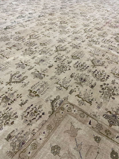 Ivory and Brown, Pure Wool Antique Handknotted 10.10x14.10Ft 329x451Cms Area Rug