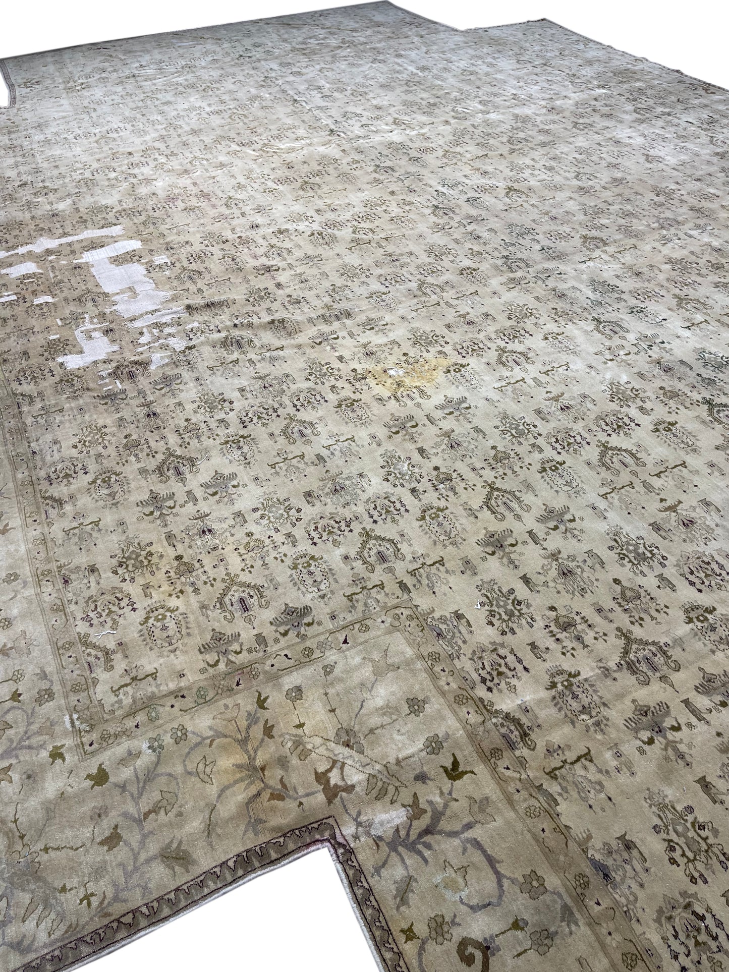 Ivory and Brown, Pure Wool Antique Handknotted 10.10x14.10Ft 329x451Cms Area Rug