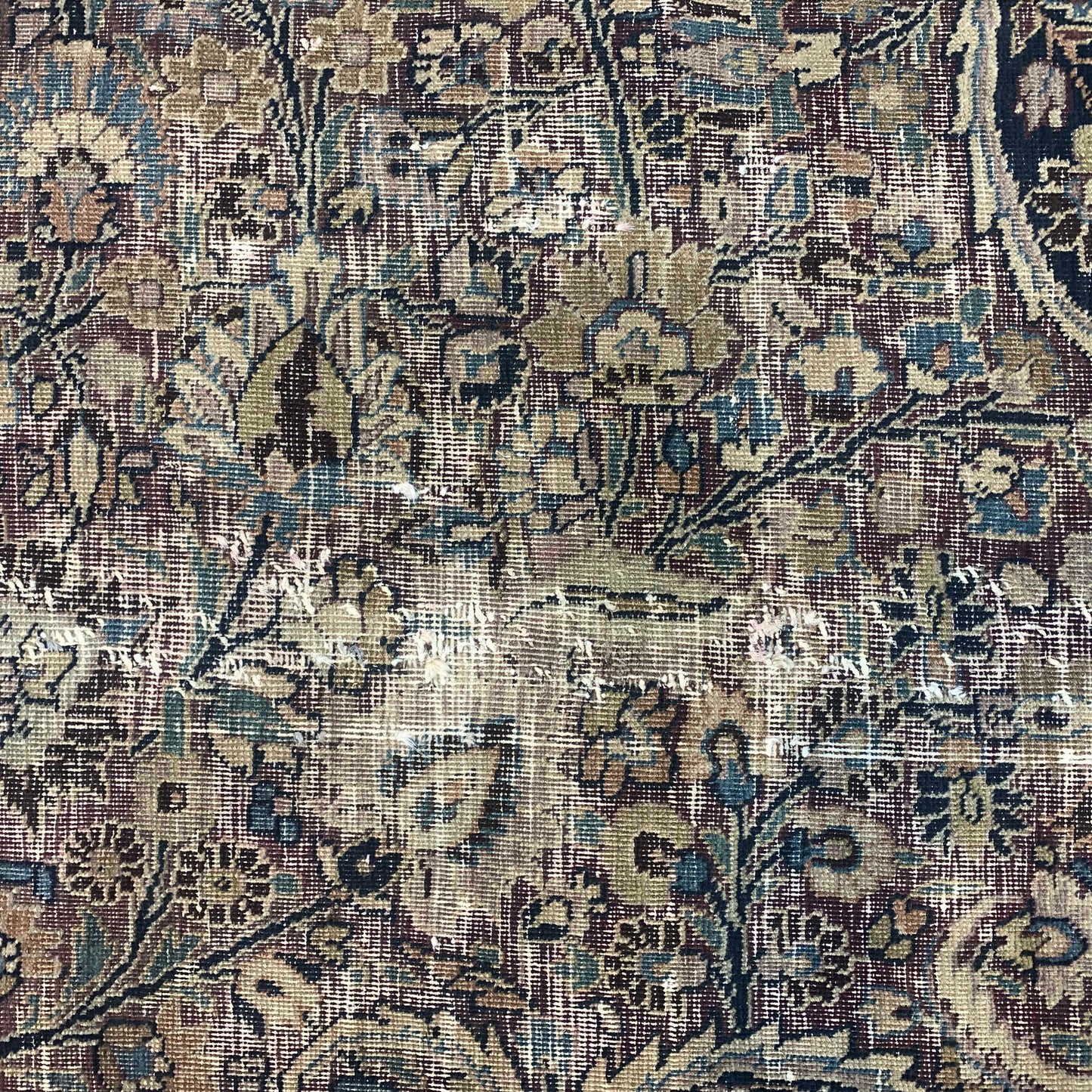 Camel and Black, Pure Wool Antique Handknotted 13.8x15.5Ft 417x470Cms Area Rug