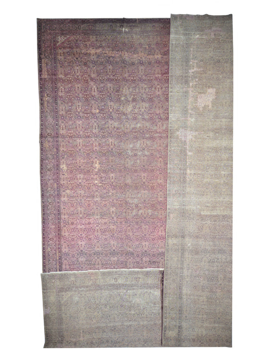 Brown and Camel, Pure Wool Antique Handknotted 15.10x25.0Ft 484x763Cms Area Rug