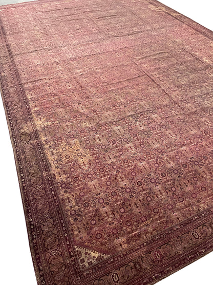 Brown and Camel, Pure Wool Antique Handknotted 15.10x25.0Ft 484x763Cms Area Rug
