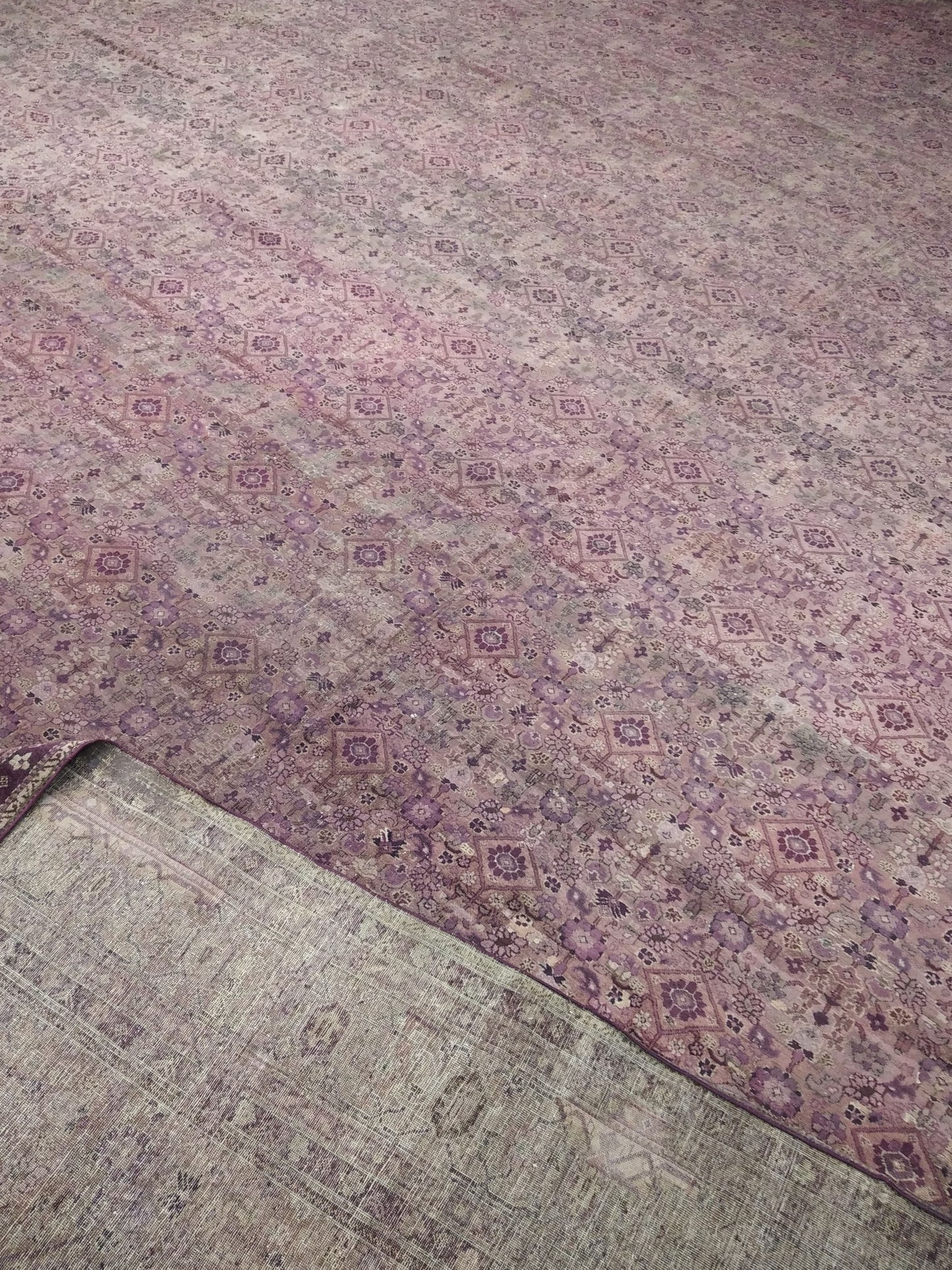 Brown and Camel, Pure Wool Antique Handknotted 15.10x25.0Ft 484x763Cms Area Rug