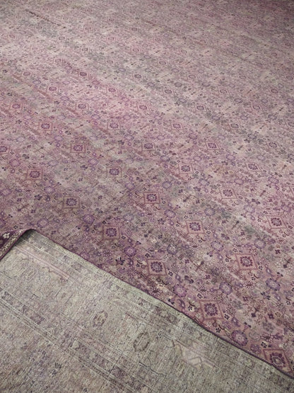 Brown and Camel, Pure Wool Antique Handknotted 15.10x25.0Ft 484x763Cms Area Rug