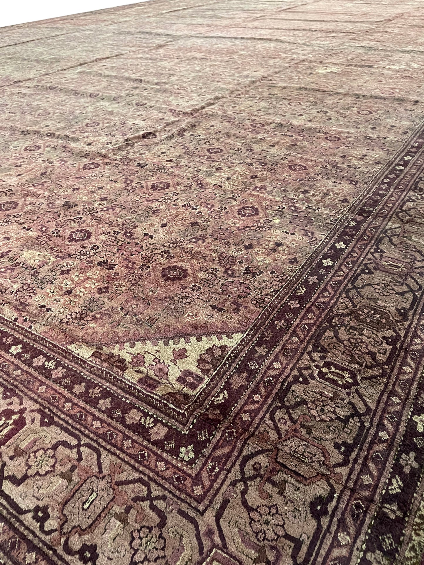 Brown and Camel, Pure Wool Antique Handknotted 15.10x25.0Ft 484x763Cms Area Rug