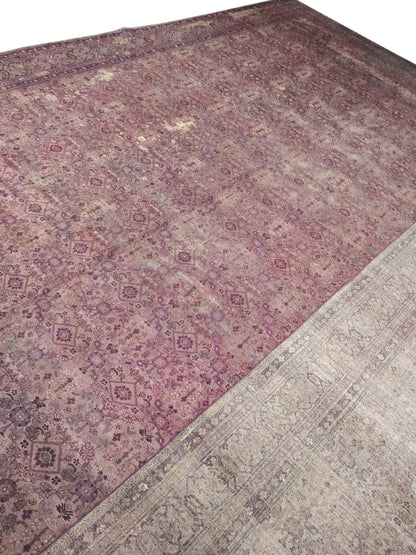 Brown and Camel, Pure Wool Antique Handknotted 15.10x25.0Ft 484x763Cms Area Rug