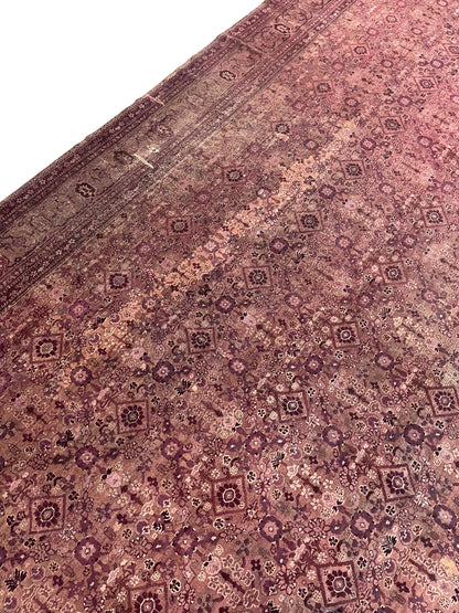 Brown and Camel, Pure Wool Antique Handknotted 15.10x25.0Ft 484x763Cms Area Rug