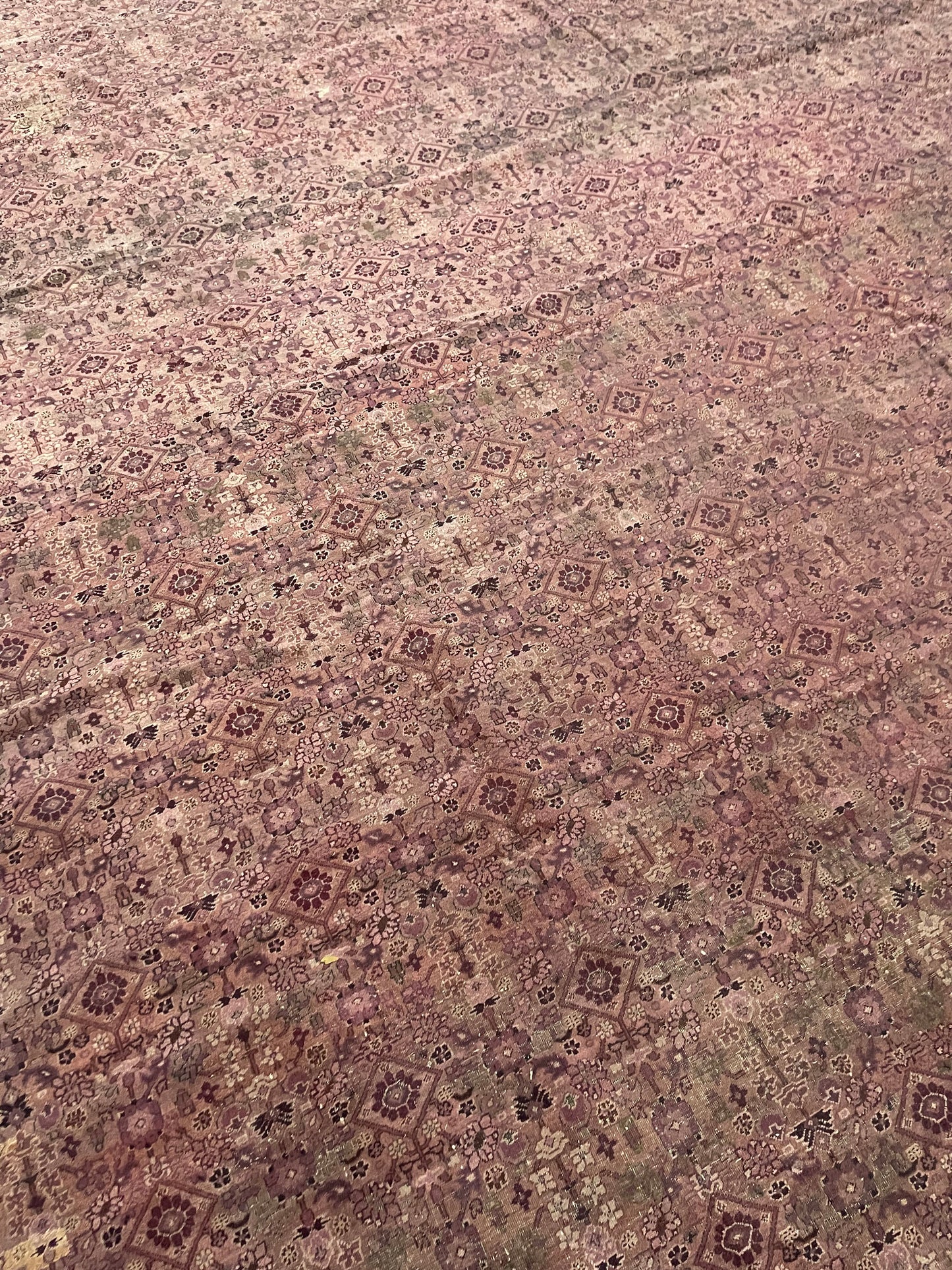 Brown and Camel, Pure Wool Antique Handknotted 15.10x25.0Ft 484x763Cms Area Rug