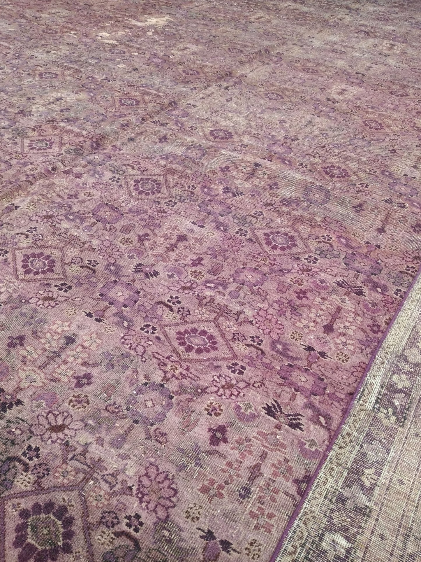 Brown and Camel, Pure Wool Antique Handknotted 15.10x25.0Ft 484x763Cms Area Rug