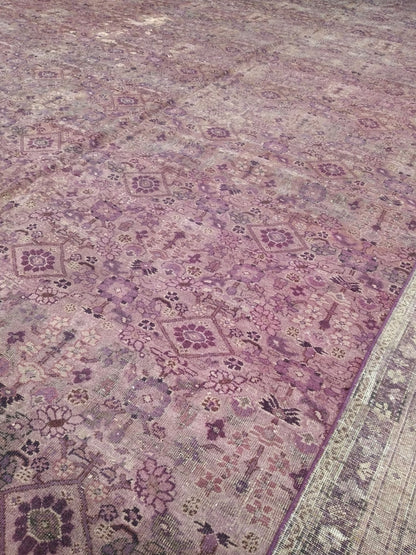 Brown and Camel, Pure Wool Antique Handknotted 15.10x25.0Ft 484x763Cms Area Rug