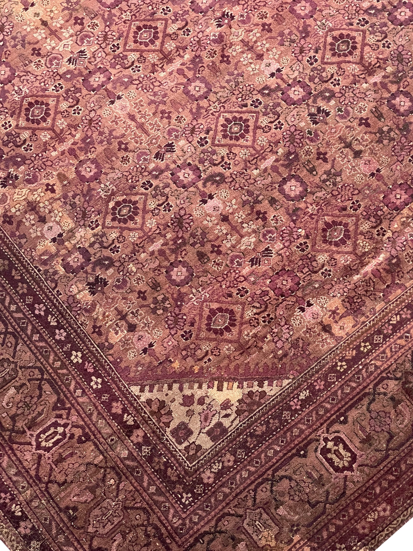 Brown and Camel, Pure Wool Antique Handknotted 15.10x25.0Ft 484x763Cms Area Rug