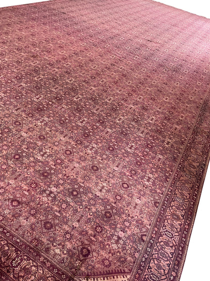 Camel and Brown, Pure Wool Antique Handknotted 16.0x32.0Ft 487x975Cms Area Rug