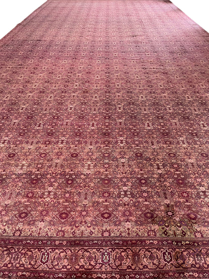 Camel and Brown, Pure Wool Antique Handknotted 16.0x32.0Ft 487x975Cms Area Rug