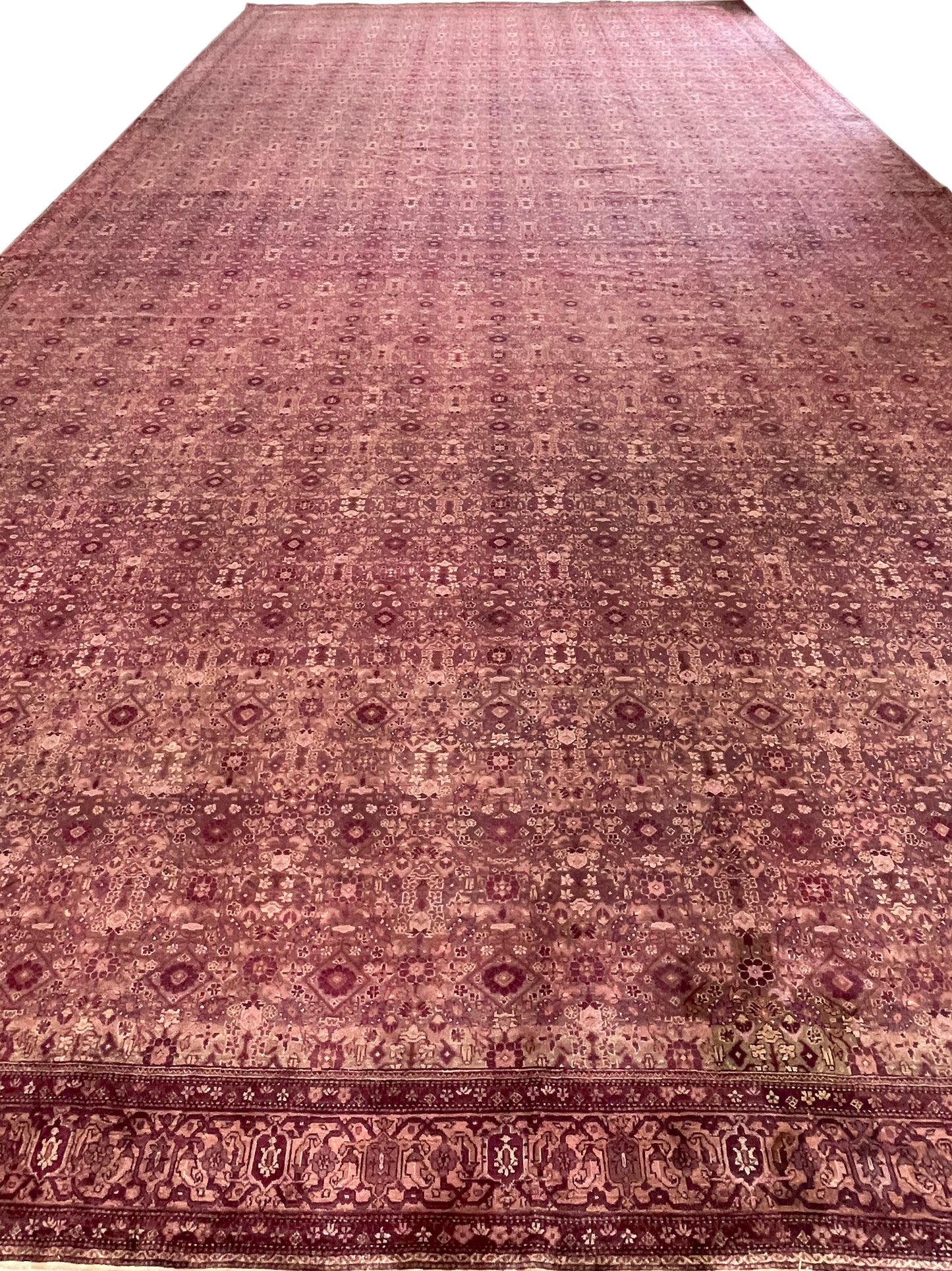 Camel and Brown, Pure Wool Antique Handknotted 16.0x32.0Ft 487x975Cms Area Rug