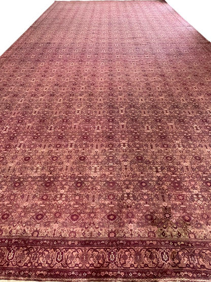 Camel and Brown, Pure Wool Antique Handknotted 16.0x32.0Ft 487x975Cms Area Rug