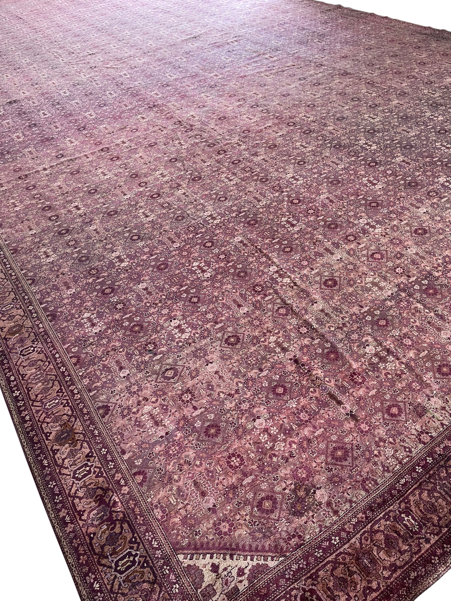 Camel and Brown, Pure Wool Antique Handknotted 16.0x32.0Ft 487x975Cms Area Rug