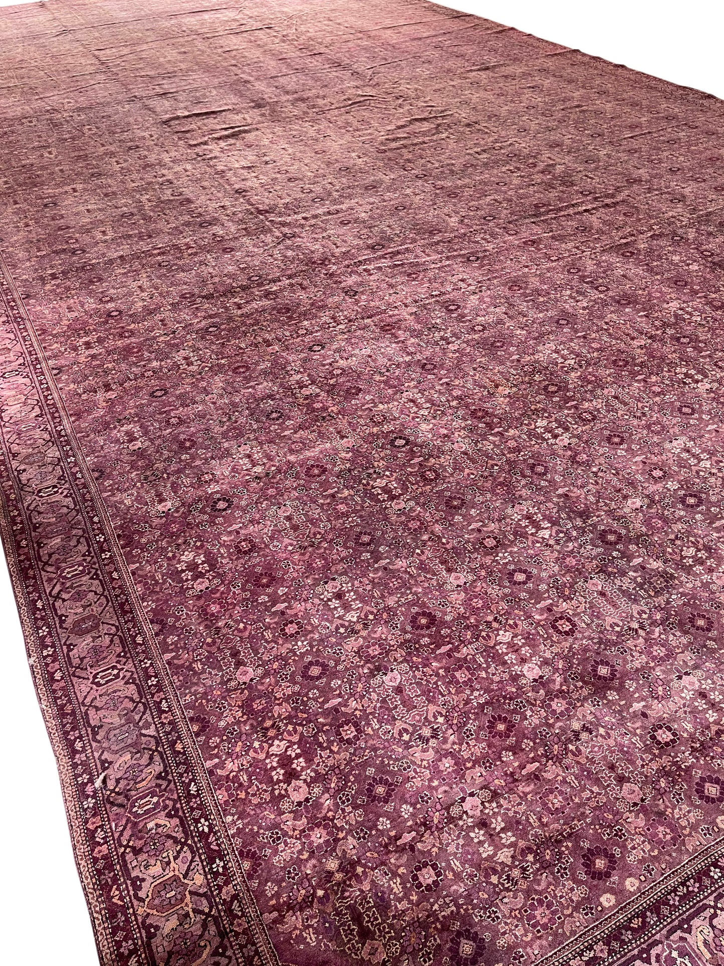 Camel and Brown, Pure Wool Antique Handknotted 16.0x32.0Ft 487x975Cms Area Rug