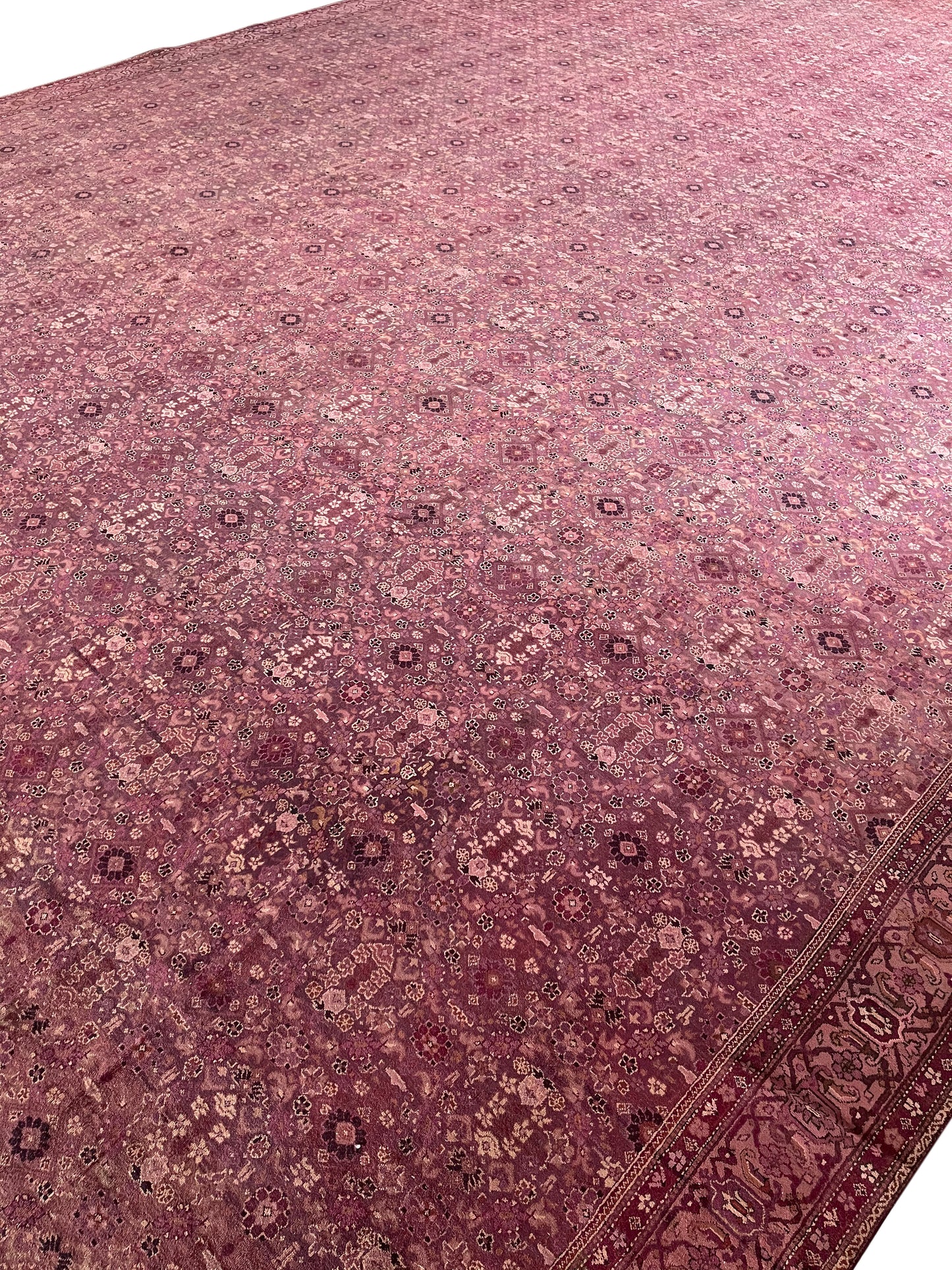 Camel and Brown, Pure Wool Antique Handknotted 16.0x32.0Ft 487x975Cms Area Rug