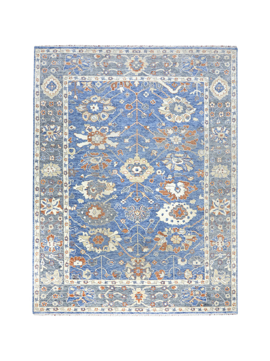 Blue Grey, Pure Wool Transitional Agra Handknotted 9.6x12.3Ft 288x373Cms Area Rug